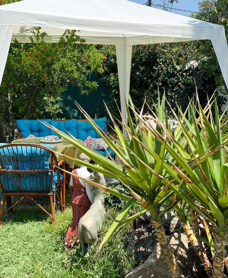 Casa Lia-Beach Front Villa Nea Kallikrateia Εξωτερικό φωτογραφία